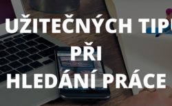Kde Hledat Praci Kariera V Kostce Profesia Cz