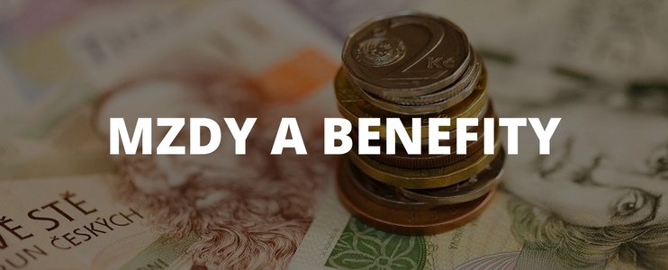Mzdy a benefity