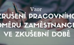 Zrušení pracovního poměru zaměstnancem ve zkušební době