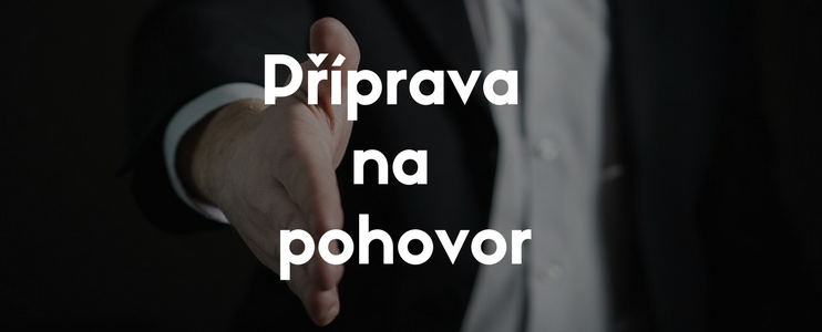 Příprava na pohovor
